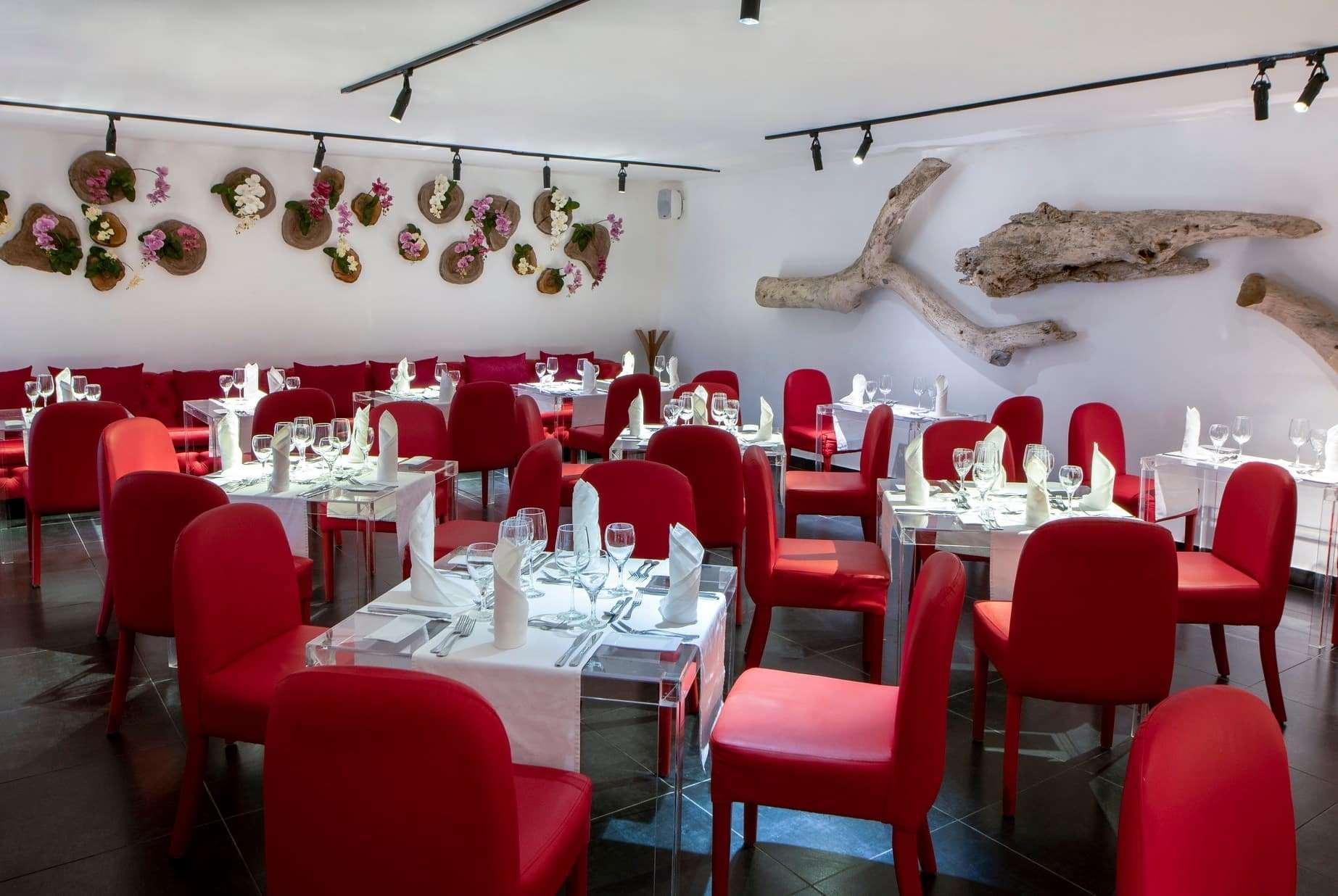 ヴィヴァ ウインダム V サマナ オールインクルーシブ リゾート【大人専用】 ラス・テレナス エクステリア 写真 Restaurant "1708"