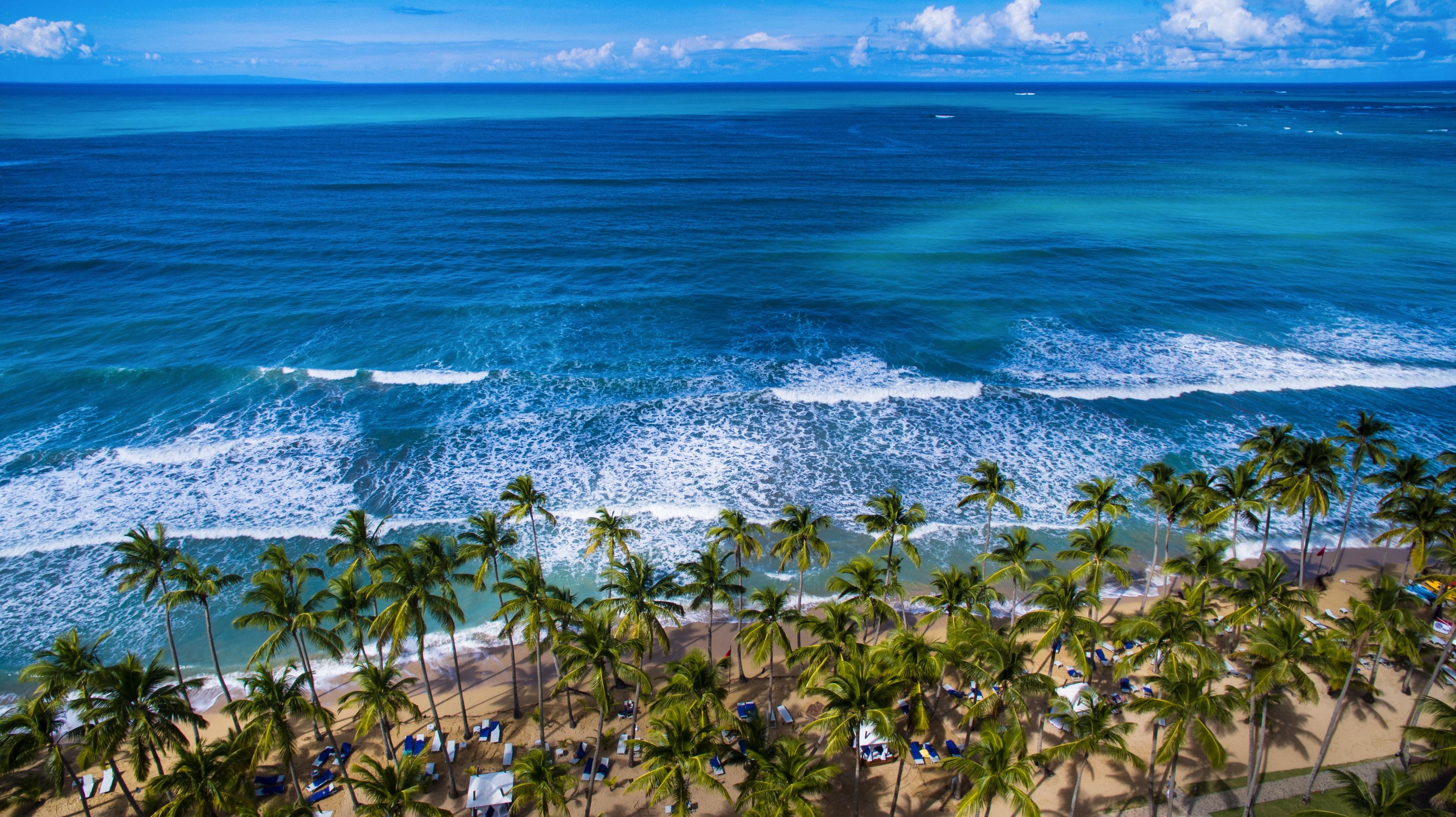 ヴィヴァ ウインダム V サマナ オールインクルーシブ リゾート【大人専用】 ラス・テレナス エクステリア 写真 Atlantic Ocean shoreline in Punta Cana